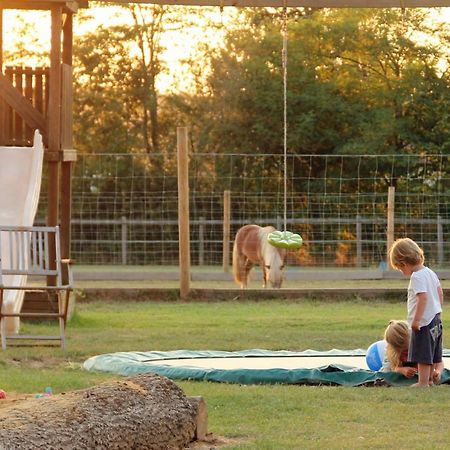 Fongrave Domaine Ramonjavel, Glamping & Alpaca'S Bed & Breakfast エクステリア 写真