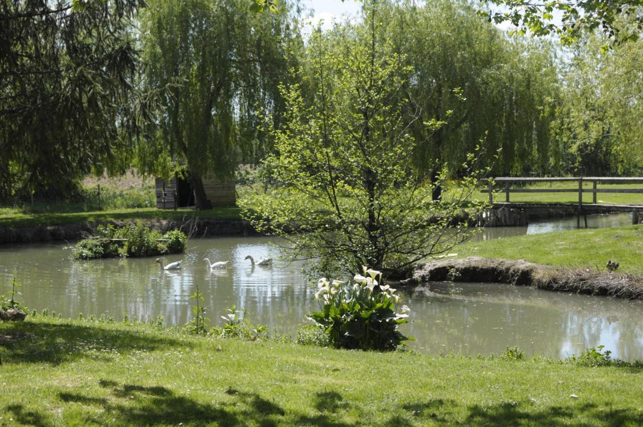 Fongrave Domaine Ramonjavel, Glamping & Alpaca'S Bed & Breakfast エクステリア 写真
