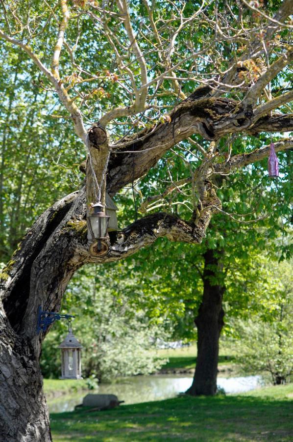 Fongrave Domaine Ramonjavel, Glamping & Alpaca'S Bed & Breakfast エクステリア 写真