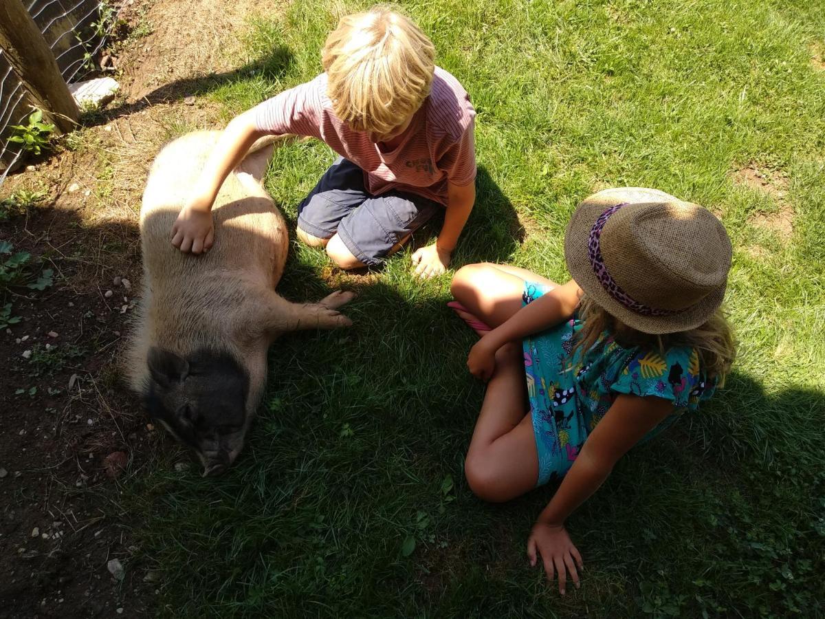Fongrave Domaine Ramonjavel, Glamping & Alpaca'S Bed & Breakfast エクステリア 写真