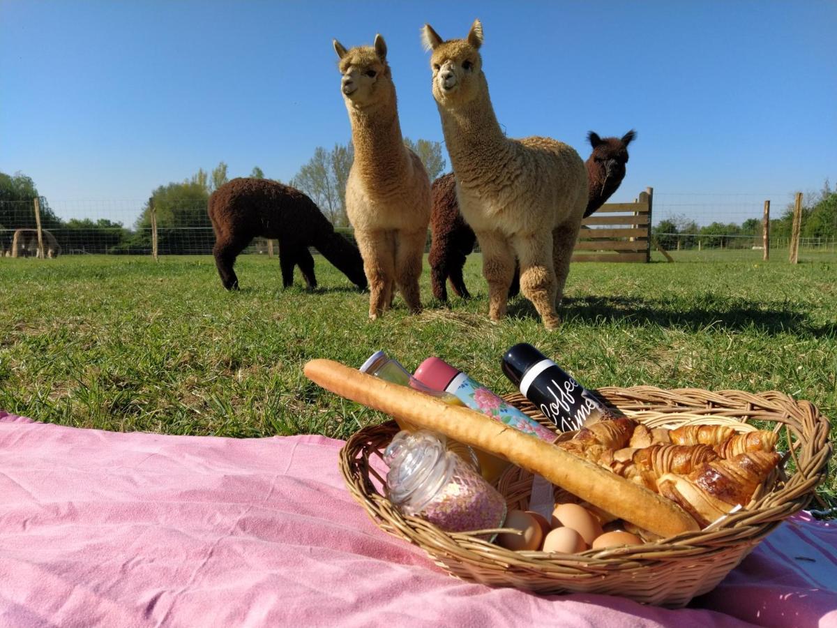 Fongrave Domaine Ramonjavel, Glamping & Alpaca'S Bed & Breakfast エクステリア 写真