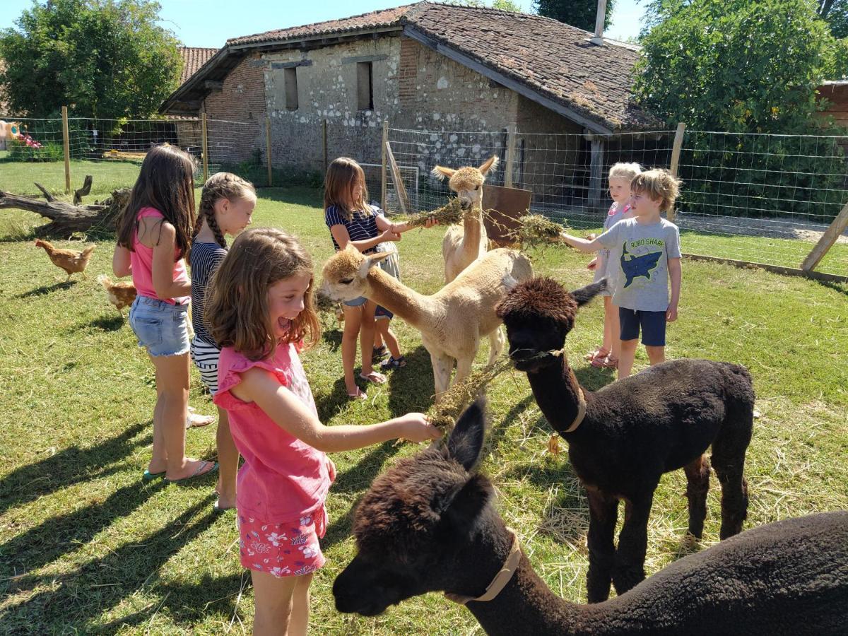Fongrave Domaine Ramonjavel, Glamping & Alpaca'S Bed & Breakfast エクステリア 写真