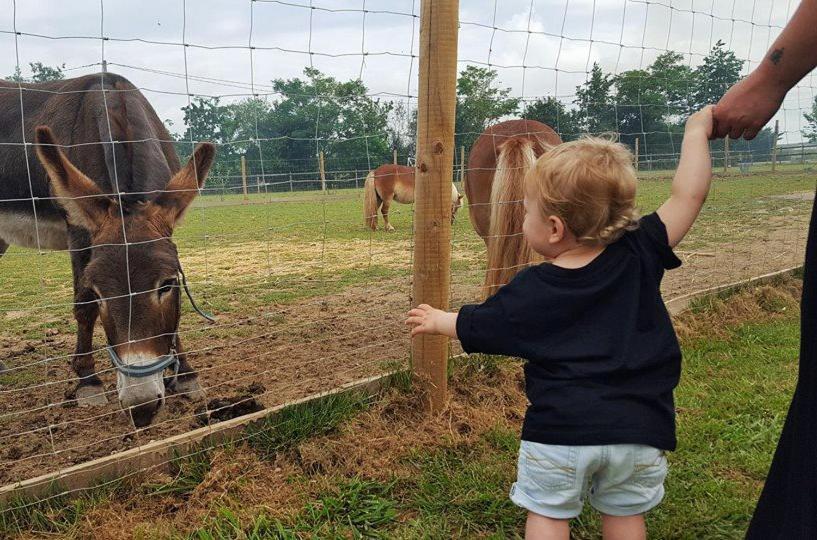 Fongrave Domaine Ramonjavel, Glamping & Alpaca'S Bed & Breakfast エクステリア 写真